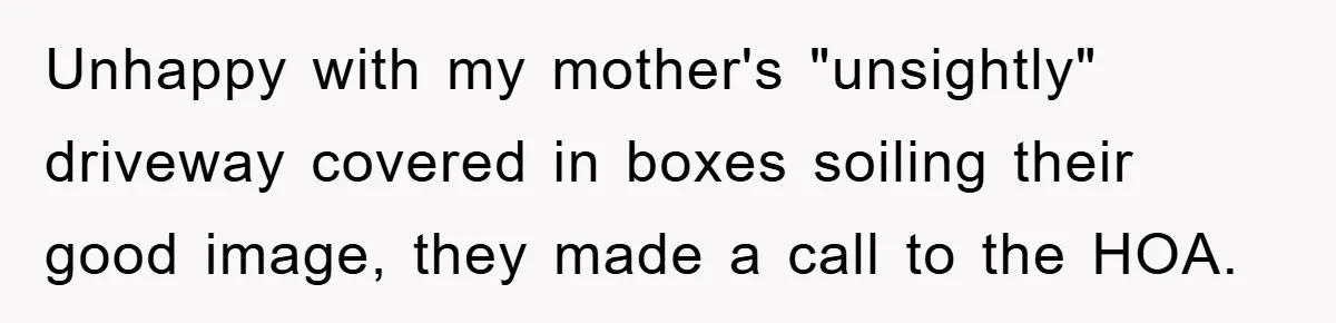 Unhappy with my mother's "unsightly" driveway covered in boxes soiling their good image, they made a call to the HOA.