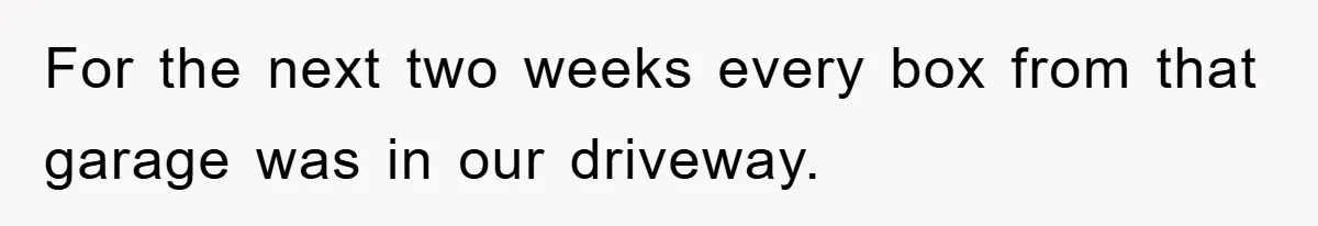For the next two weeks every box from that garage was in our driveway.