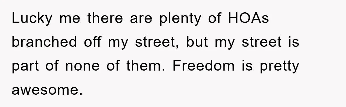 Lucky me there are plenty of HOAs branched off my street, but my street is part of none of them. Freedom is pretty awesome.