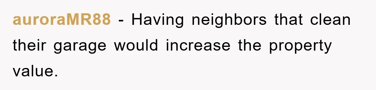 auroraMR88 − Having neighbors that clean their garage would increase the property value.