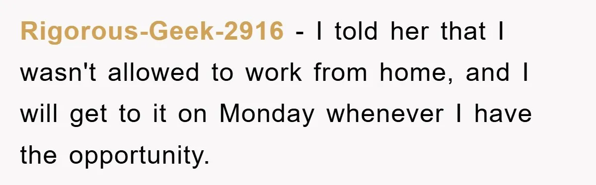 Rigorous-Geek-2916 − I told her that I wasn't allowed to work from home, and I will get to it on Monday whenever I have the opportunity.