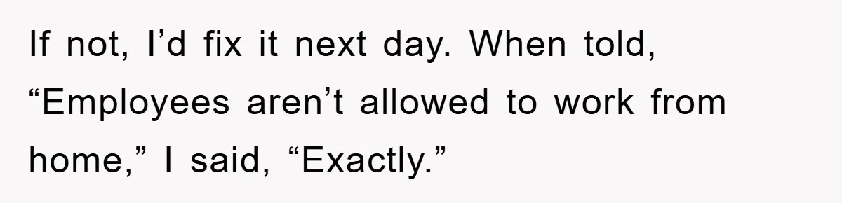 If not, I’d fix it next day. When told, “Employees aren’t allowed to work from home,” I said, “Exactly.”