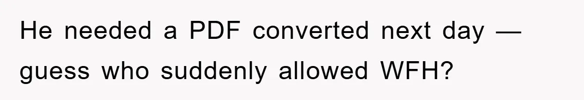 He needed a PDF converted next day — guess who suddenly allowed WFH?