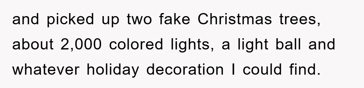 and picked up two fake Christmas trees, about 2,000 colored lights, a light ball and whatever holiday decoration I could find.