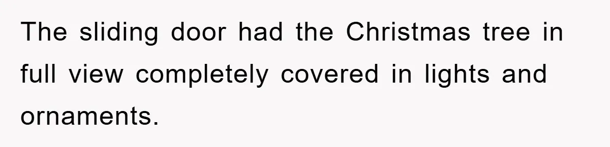 The sliding door had the Christmas tree in full view completely covered in lights and ornaments.