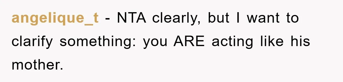 angelique_t − NTA clearly, but I want to clarify something: you ARE acting like his mother.