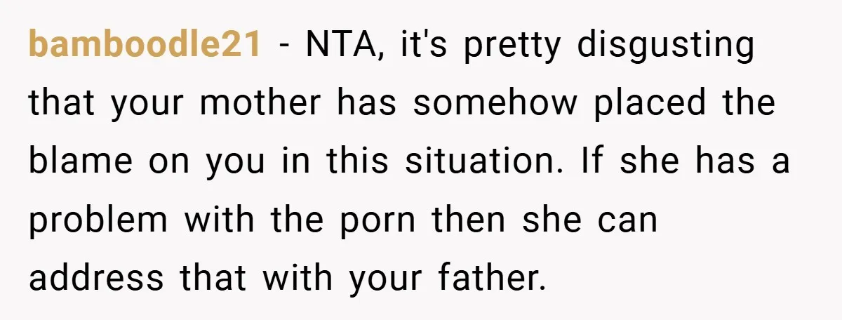 bamboodle21 − NTA, it's pretty disgusting that your mother has somehow placed the blame on you in this situation. If she has a problem with the porn then she can...