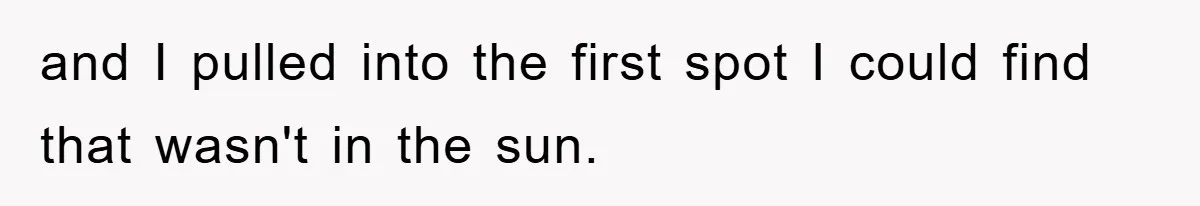 and I pulled into the first spot I could find that wasn't in the sun.