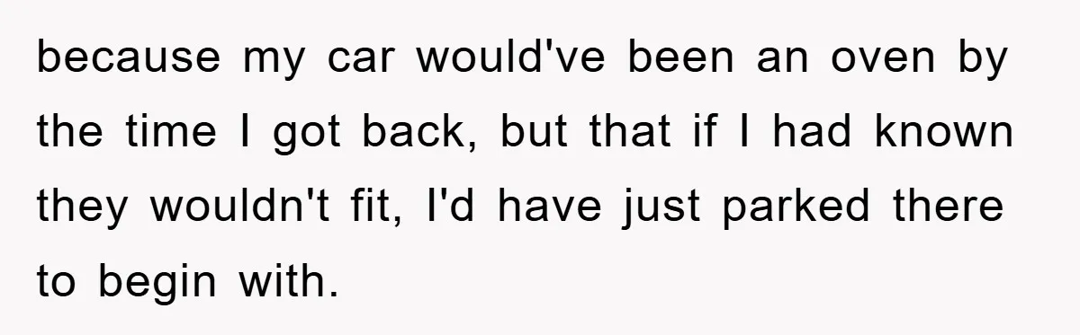 because my car would've been an oven by the time I got back, but that if I had known they wouldn't fit, I'd have just parked there to begin with.