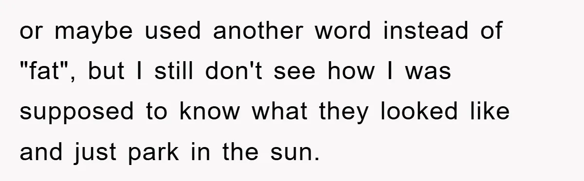 or maybe used another word instead of "fat", but I still don't see how I was supposed to know what they looked like and just park in the sun.