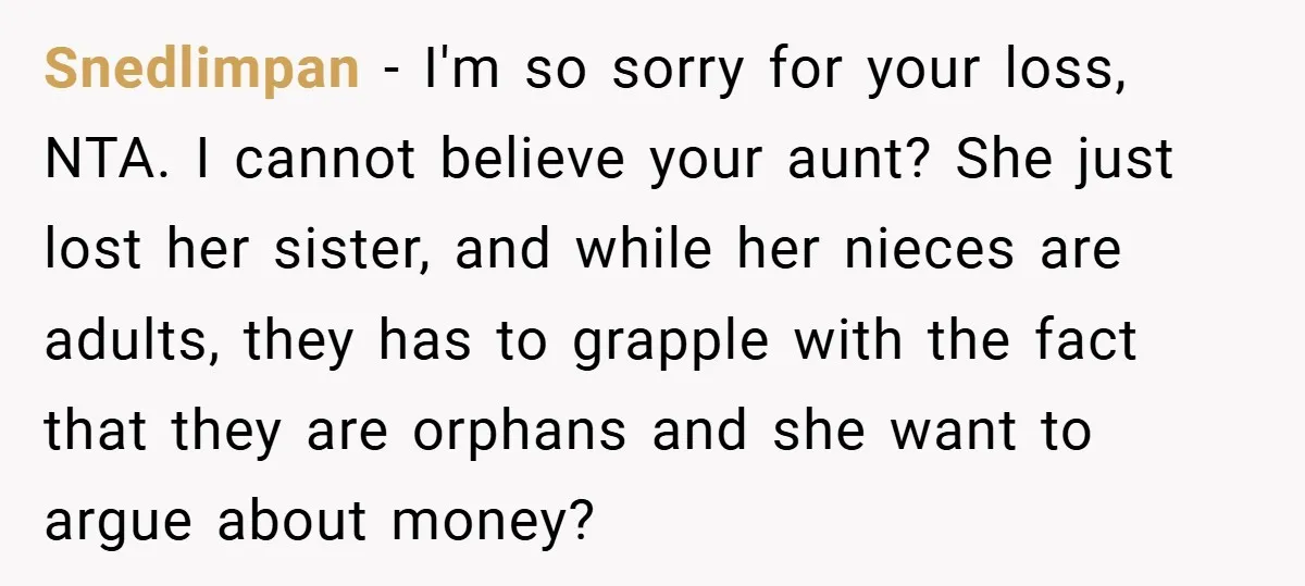 A Grieving Woman Cuts Off Her Aunt After She Demands Inheritance Money for Her Son’s College Snedlimpan − I'm so sorry for your loss, NTA. I cannot believe your aunt? She just lost her sister, and while her nieces are adults, they has to grapple with...