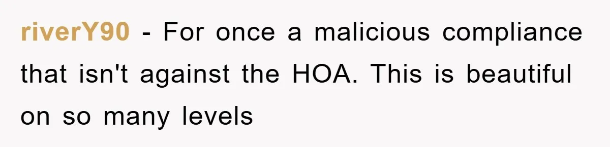 riverY90 − For once a malicious compliance that isn't against the HOA. This is beautiful on so many levels