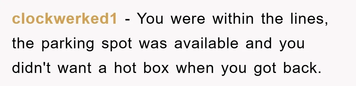 clockwerked1 − You were within the lines, the parking spot was available and you didn't want a hot box when you got back.