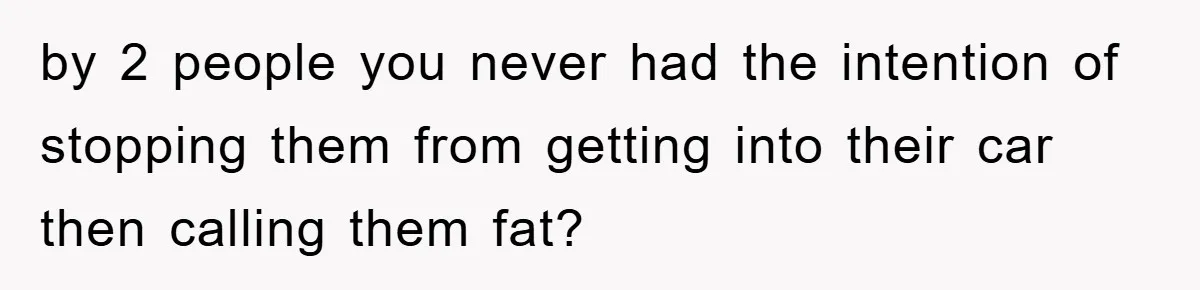 by 2 people you never had the intention of stopping them from getting into their car then calling them fat?
