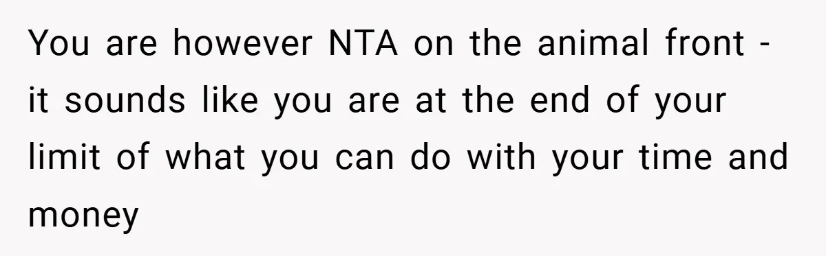 “It’s Not An Excuse!” Mom Scolds Her Daughter With Type 1 Diabetes For Neglecting Pets And School You are however NTA on the animal front - it sounds like you are at the end of your limit of what you can do with your time and money