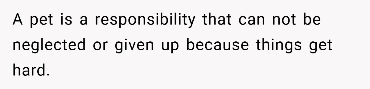 “It’s Not An Excuse!” Mom Scolds Her Daughter With Type 1 Diabetes For Neglecting Pets And School A pet is a responsibility that can not be neglected or given up because things get hard.