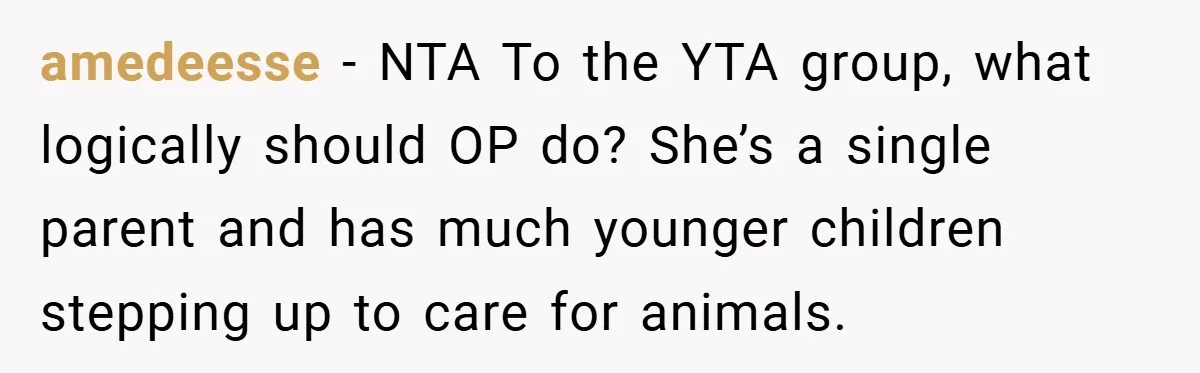 “It’s Not An Excuse!” Mom Scolds Her Daughter With Type 1 Diabetes For Neglecting Pets And School amedeesse − NTA To the YTA group, what logically should OP do? She’s a single parent and has much younger children stepping up to care for animals.