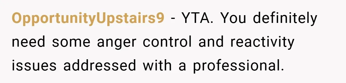 OpportunityUpstairs9 − YTA. You definitely need some anger control and reactivity issues addressed with a professional.