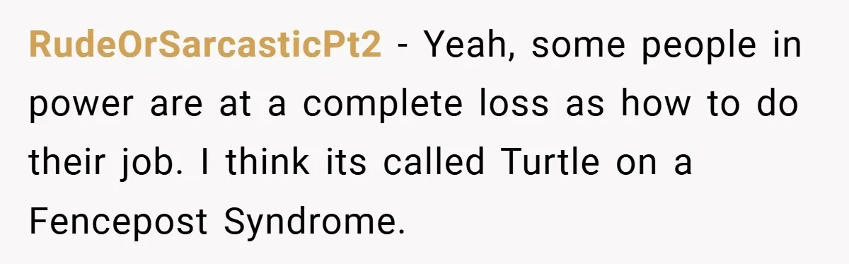 RudeOrSarcasticPt2 − Yeah, some people in power are at a complete loss as how to do their job. I think its called Turtle on a Fencepost Syndrome.