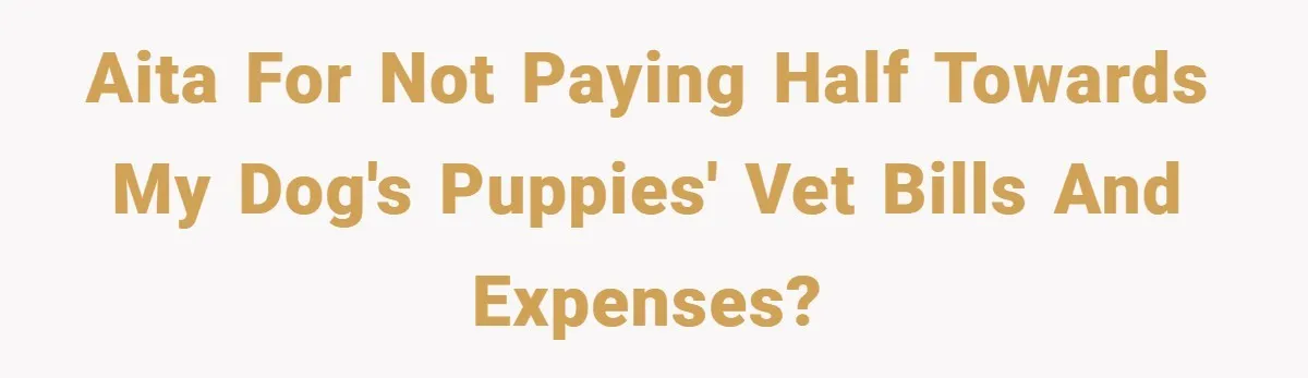 AITA for not paying half towards my dog's puppies' vet bills and expenses?