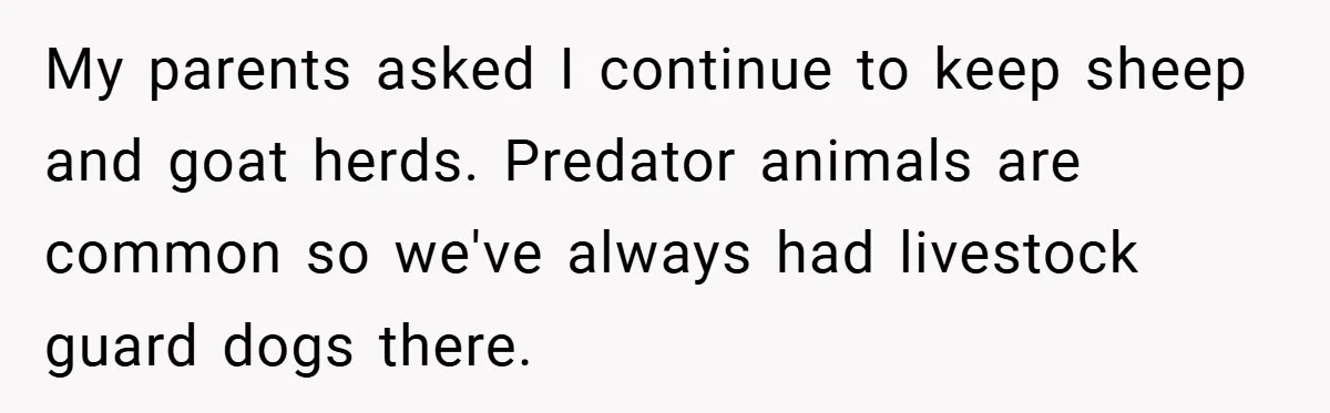 My parents asked I continue to keep sheep and goat herds. Predator animals are common so we've always had livestock guard dogs there.