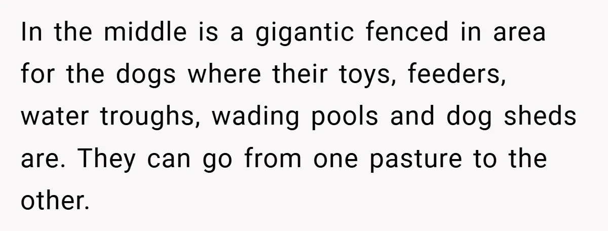 In the middle is a gigantic fenced in area for the dogs where their toys, feeders, water troughs, wading pools and dog sheds are. They can go from one pasture...