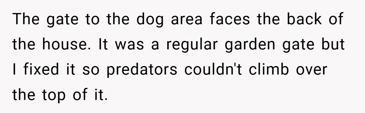The gate to the dog area faces the back of the house. It was a regular garden gate but I fixed it so predators couldn't climb over the top of...