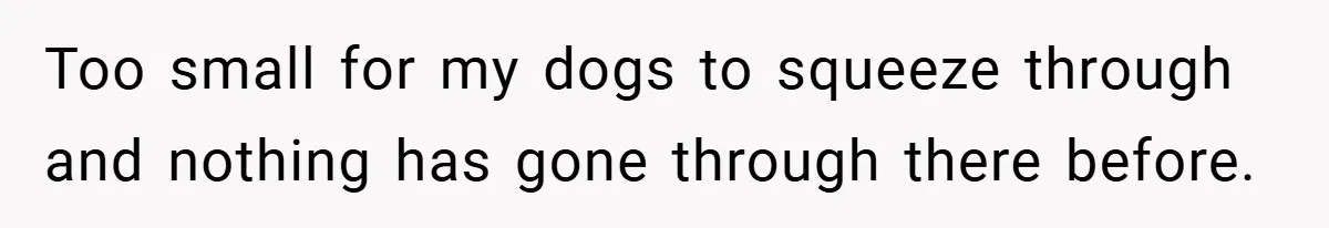 Too small for my dogs to squeeze through and nothing has gone through there before.