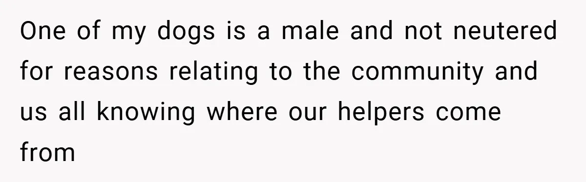 One of my dogs is a male and not neutered for reasons relating to the community and us all knowing where our helpers come from