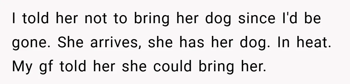 I told her not to bring her dog since I'd be gone. She arrives, she has her dog. In heat. My gf told her she could bring her.