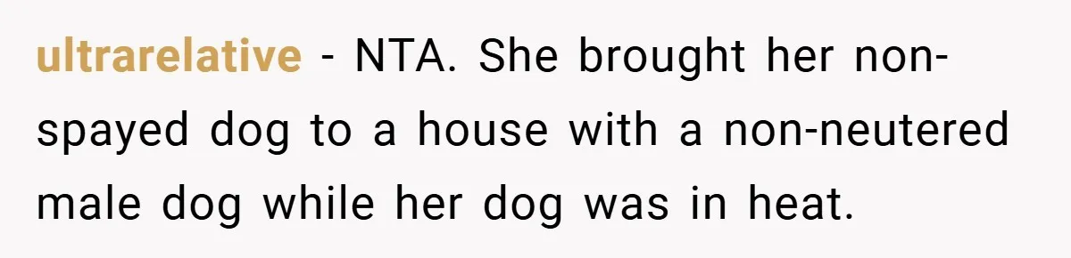 ultrarelative − NTA. She brought her non-spayed dog to a house with a non-neutered male dog while her dog was in heat.