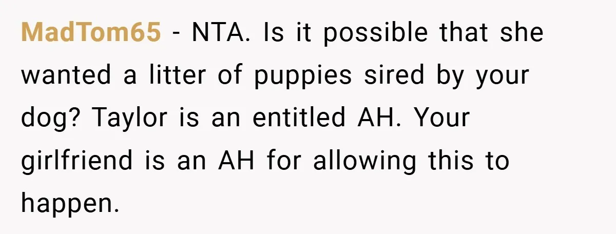 MadTom65 − NTA. Is it possible that she wanted a litter of puppies sired by your dog? Taylor is an entitled AH. Your girlfriend is an AH for allowing this...
