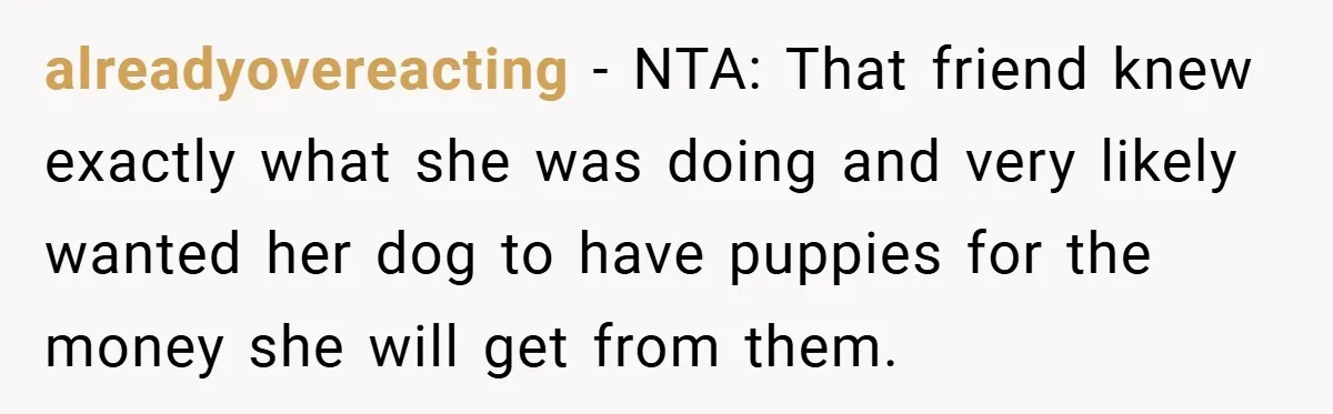alreadyovereacting − NTA: That friend knew exactly what she was doing and very likely wanted her dog to have puppies for the money she will get from them.