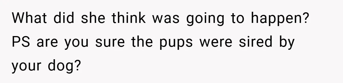 What did she think was going to happen? PS are you sure the pups were sired by your dog?