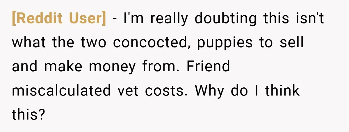 [Reddit User] − I'm really doubting this isn't what the two concocted, puppies to sell and make money from. Friend miscalculated vet costs. Why do I think this?