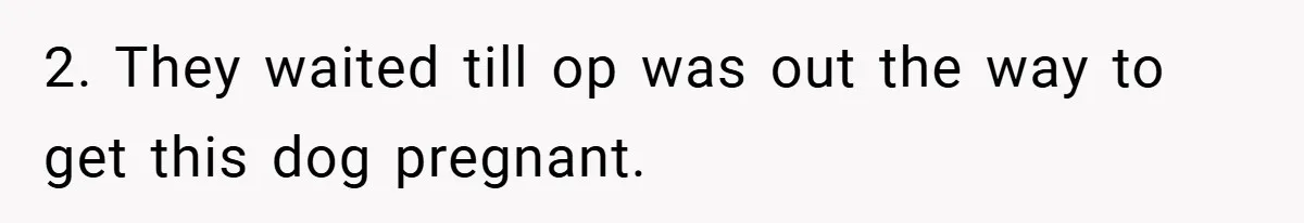 2. They waited till op was out the way to get this dog pregnant.