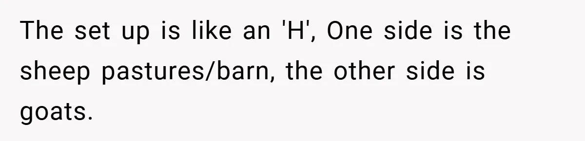 The set up is like an 'H', One side is the sheep pastures/barn, the other side is goats.