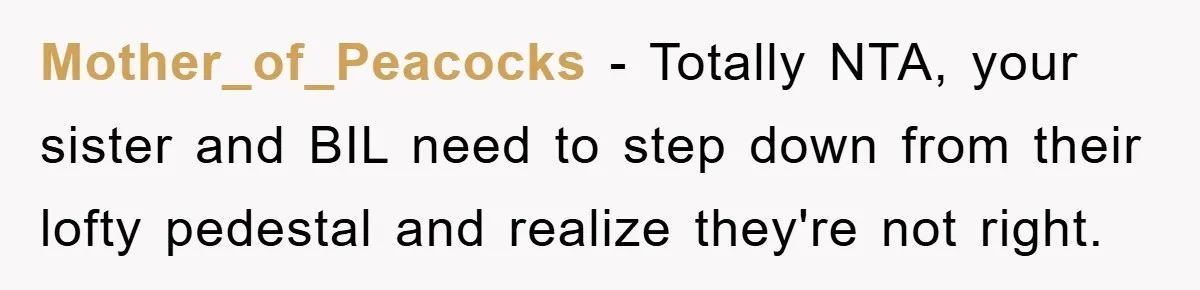 Mother_of_Peacocks − Totally NTA, your sister and BIL need to step down from their lofty pedestal and realize they're not right.