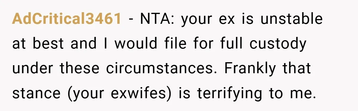 AdCritical3461 − NTA: your ex is unstable at best and I would file for full custody under these circumstances. Frankly that stance (your exwifes) is terrifying to me.