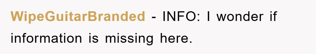 WipeGuitarBranded − INFO: I wonder if information is missing here.