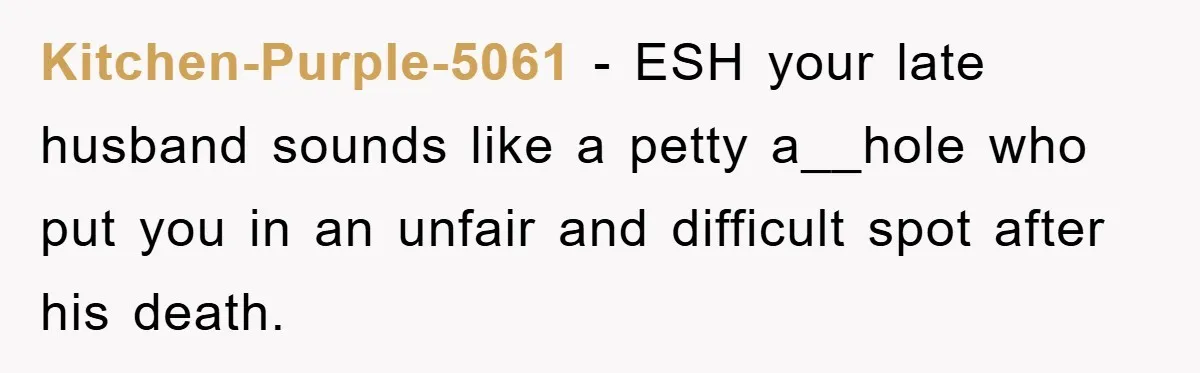 Kitchen-Purple-5061 − ESH your late husband sounds like a petty a__hole who put you in an unfair and difficult spot after his death.