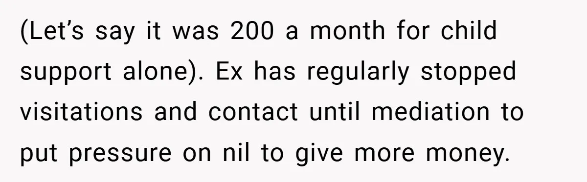 (Let’s say it was 200 a month for child support alone). Ex has regularly stopped visitations and contact until mediation to put pressure on nil to give more money.