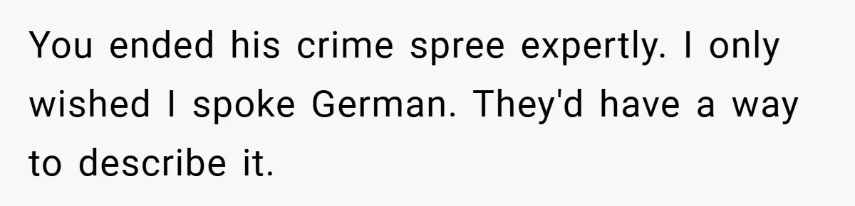 You ended his crime spree expertly. I only wished I spoke German. They'd have a way to describe it.