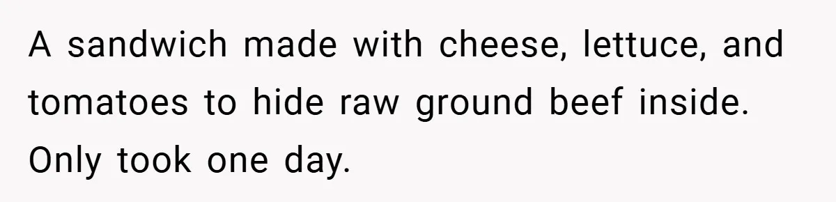 A sandwich made with cheese, lettuce, and tomatoes to hide raw ground beef inside. Only took one day.