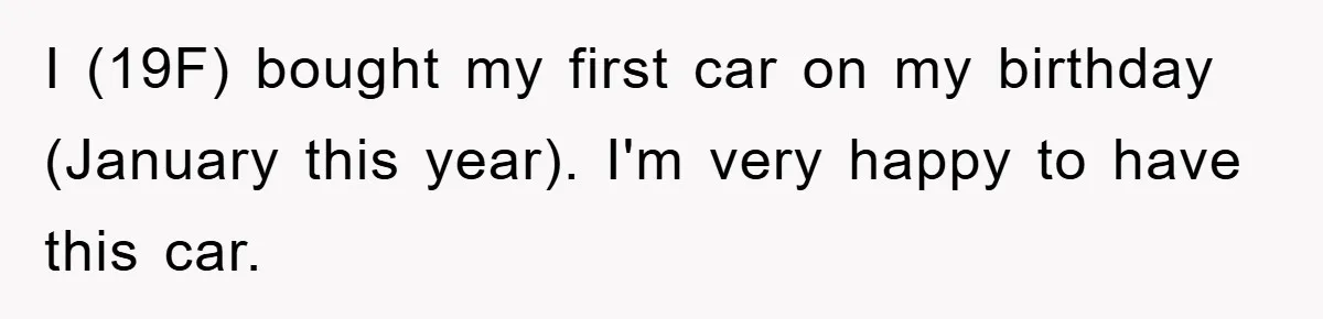 Brother Takes Car Without Permission, Sister Threatens To Play Her Final Card With The Authority Involved I (19F) bought my first car on my birthday (January this year). I'm very happy to have this car.