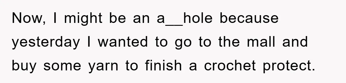Brother Takes Car Without Permission, Sister Threatens To Play Her Final Card With The Authority Involved Now, I might be an a__hole because yesterday I wanted to go to the mall and buy some yarn to finish a crochet protect.