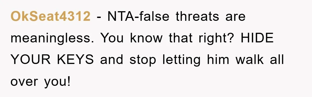 Brother Takes Car Without Permission, Sister Threatens To Play Her Final Card With The Authority Involved OkSeat4312 − NTA-false threats are meaningless. You know that right? HIDE YOUR KEYS and stop letting him walk all over you!