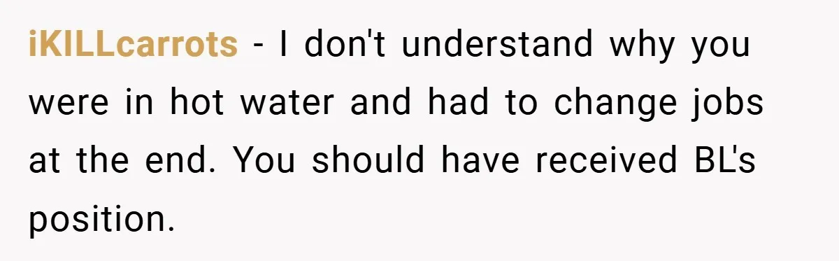 Boss Told Him “Don’t Come In Tomorrow, You’re Suspended” - Then Lost Her Job a Week Later iKILLcarrots − I don't understand why you were in hot water and had to change jobs at the end. You should have received BL's position.