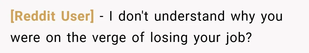 [Reddit User] − I don't understand why you were on the verge of losing your job?