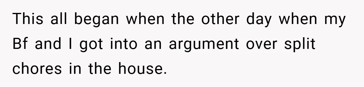 This all began when the other day when my Bf and I got into an argument over split chores in the house.